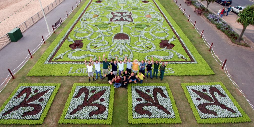 Carpet Bedding InstaPlant